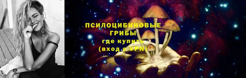 Псилоцибиновые грибы Psilocybe  Ладушкин 